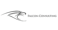 Falcon Consulting Branding